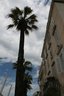gal/cro 08/_thb_small-IMG_5042.JPG
